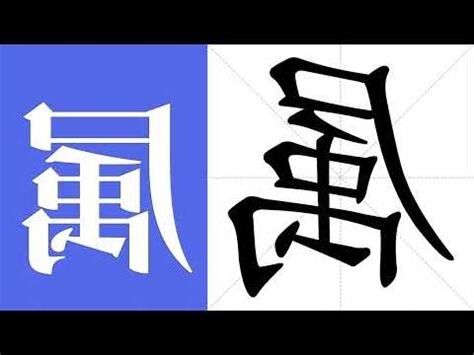 屬名 意思